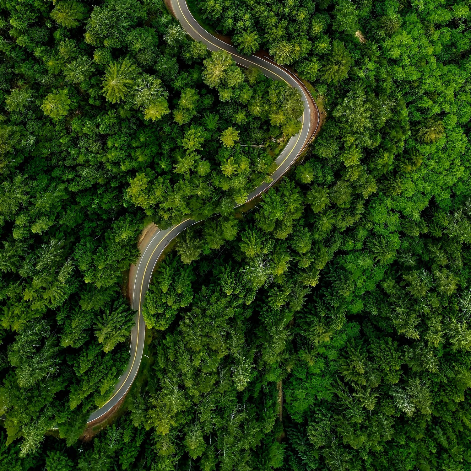 Running & Cycling Tracks