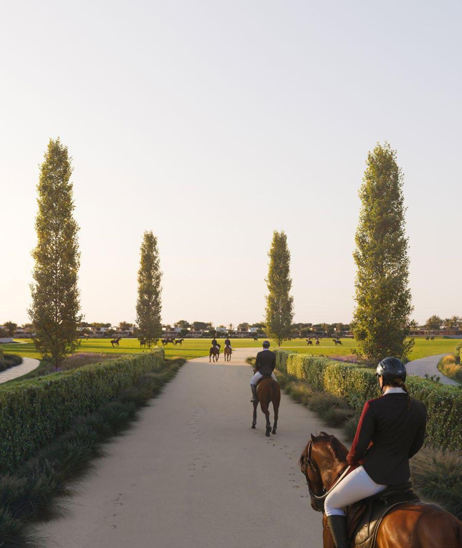  Lush Communal Landscapes 