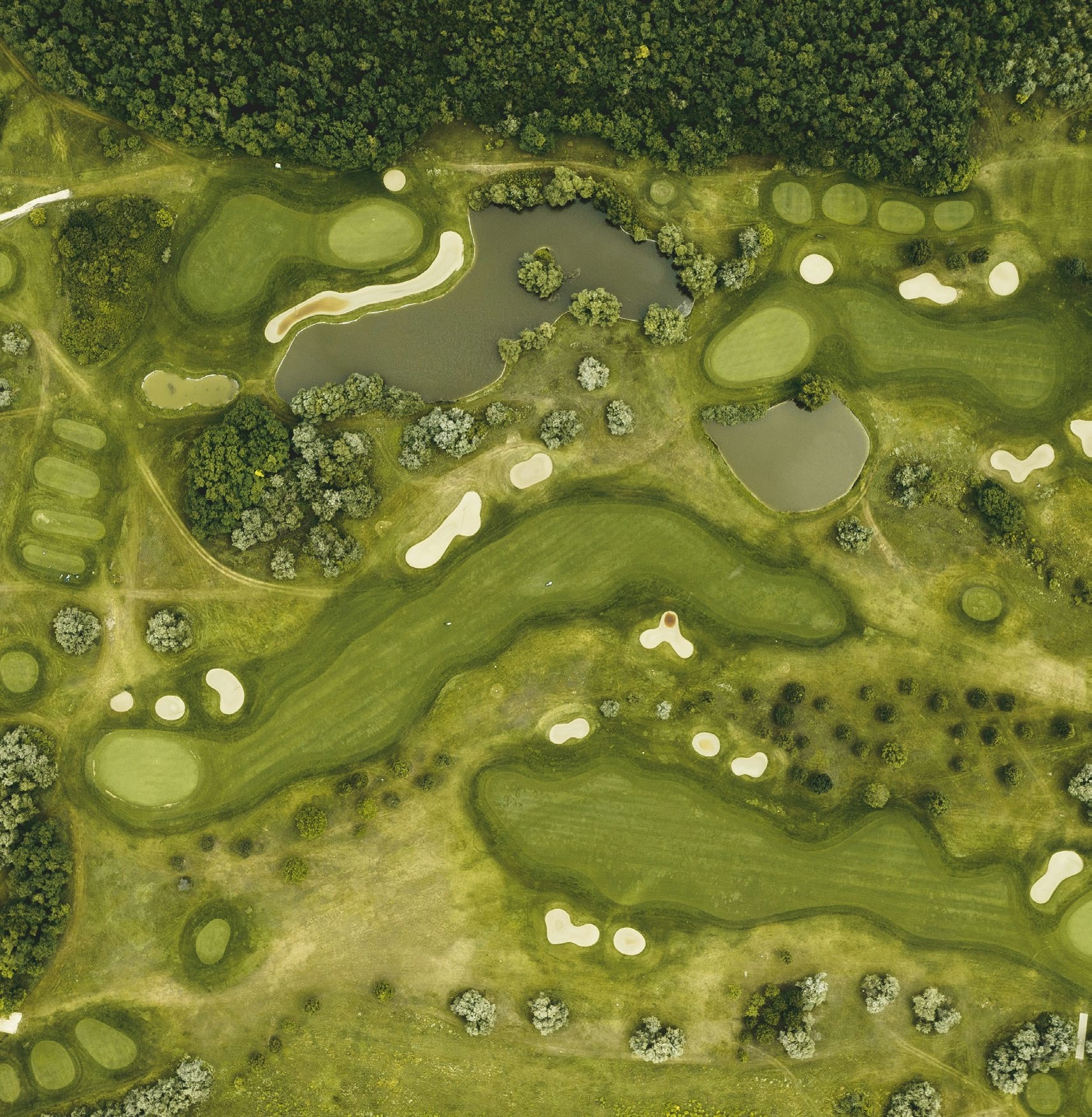 Golf Course