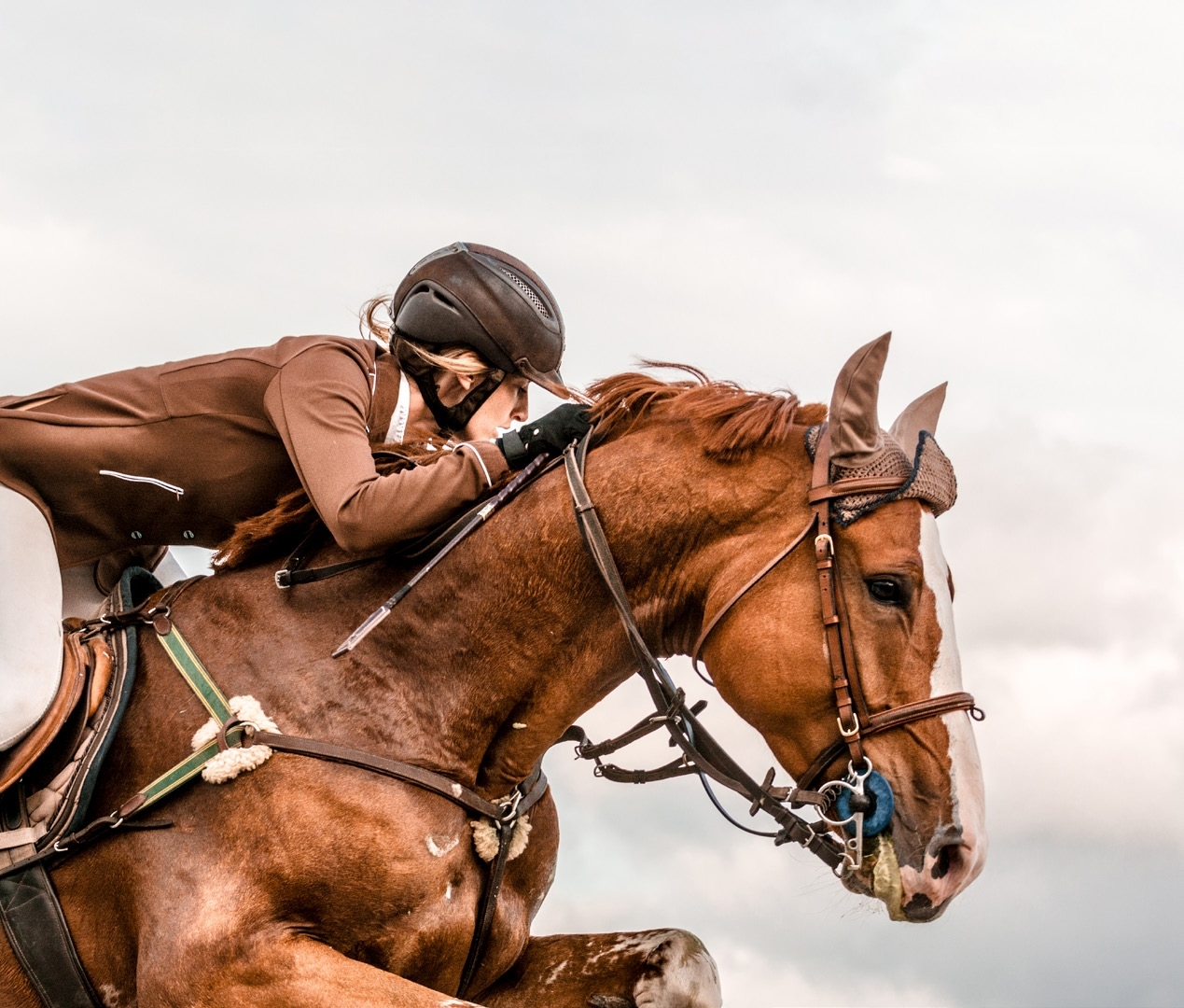 Dubai Polo and Equestrian Club