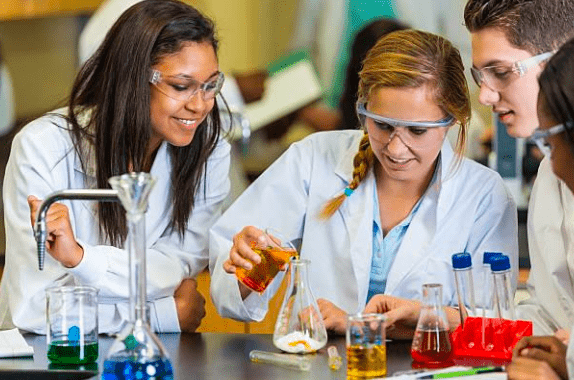 International School