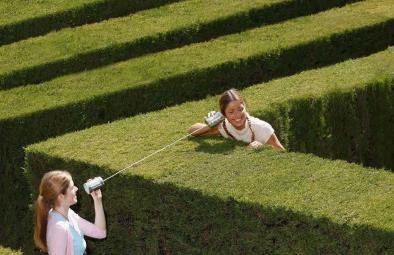 Hedge Maze